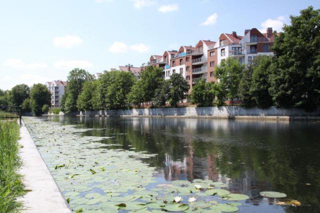 Apartament Bello - Free Parking Apartment Гданск Екстериор снимка